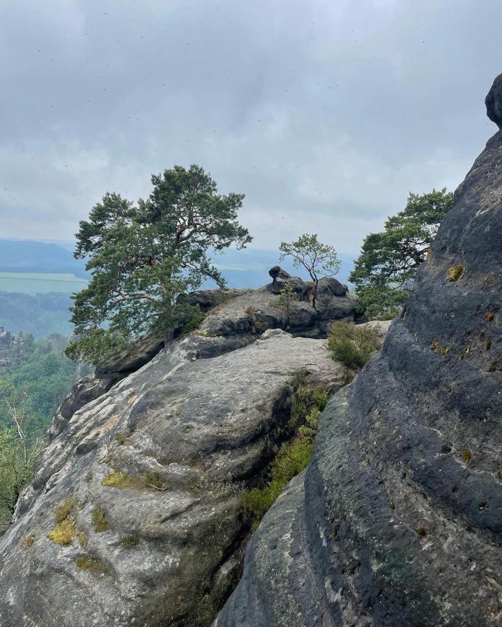 Bergblick Apartment SäChsische Schweiz Sebnitz Esterno foto