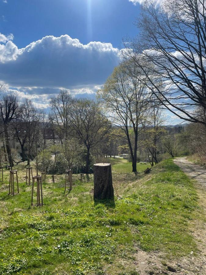Bergblick Apartment SäChsische Schweiz Sebnitz Esterno foto