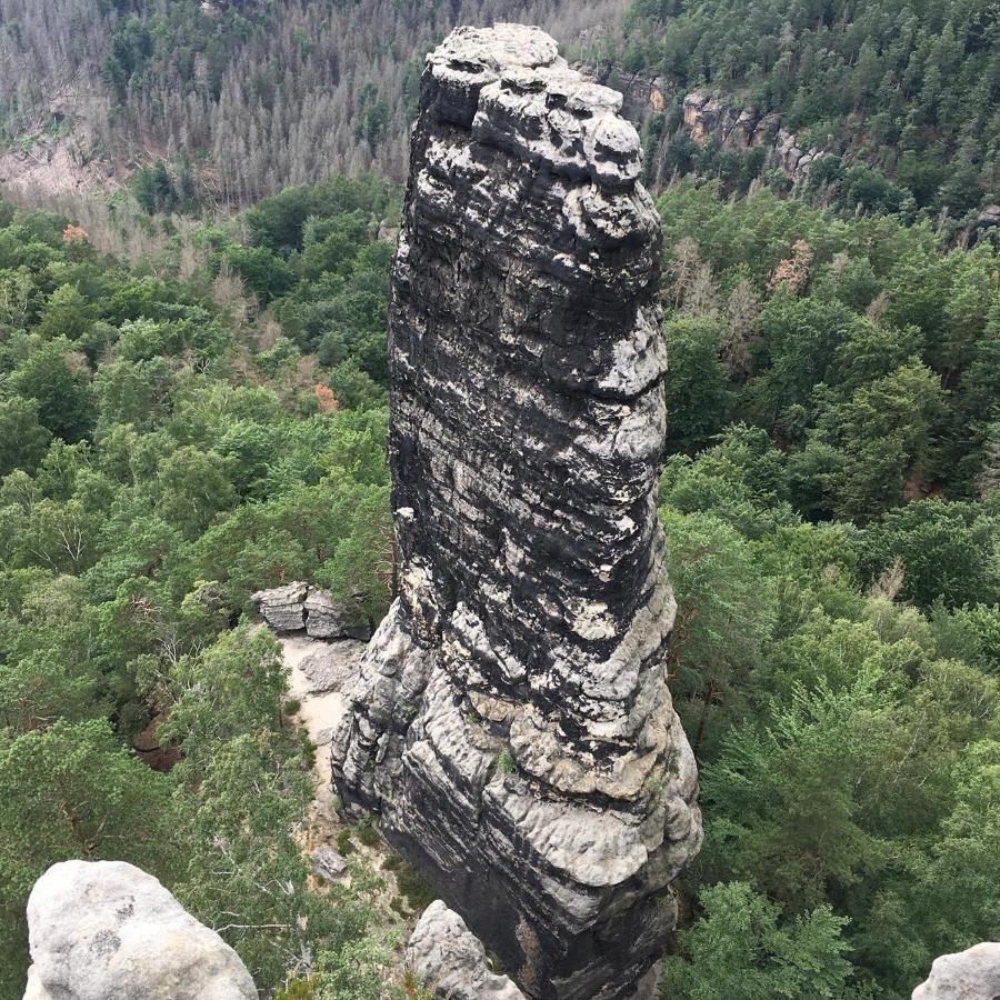 Bergblick Apartment SäChsische Schweiz Sebnitz Esterno foto